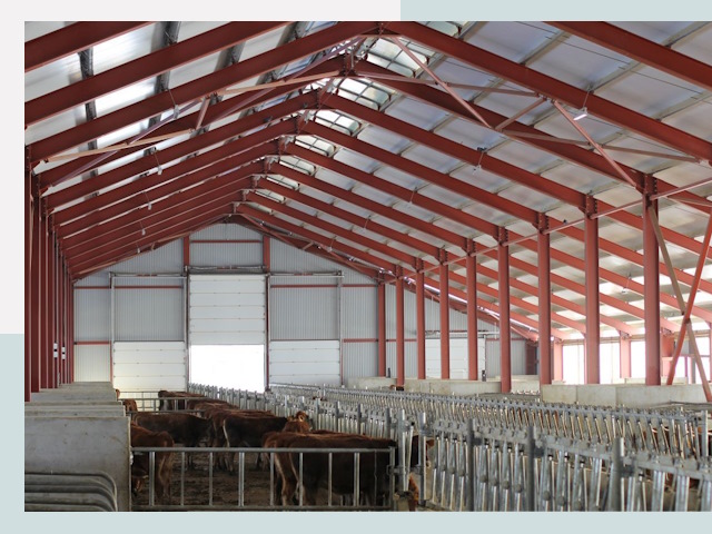 Строительство коровников в Сарапуле