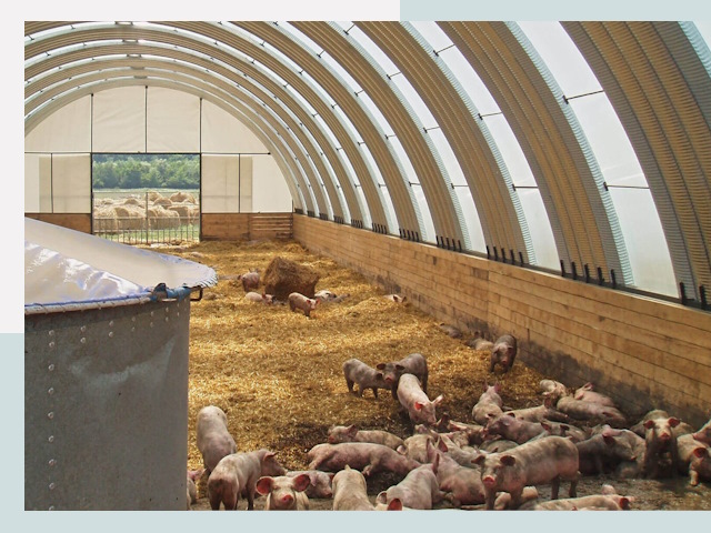 Строительство свинарников в Сарапуле