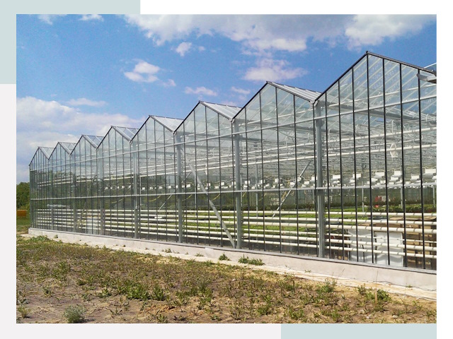 Строительство теплиц в Сарапул от 619 руб. за м²