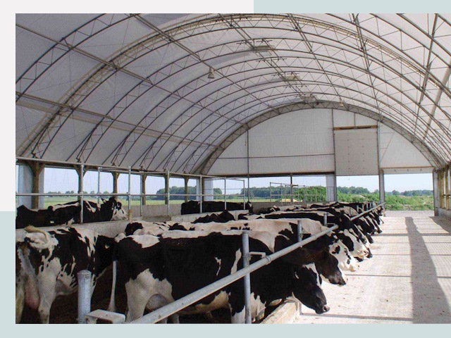 Тентовые коровники в Сарапуле